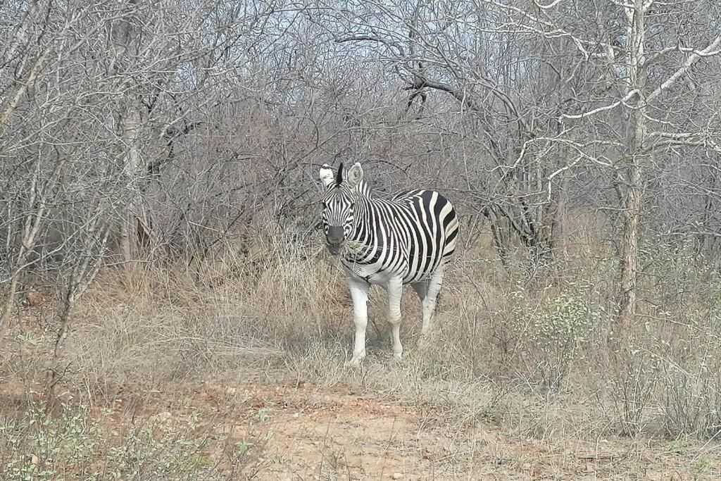 Amukela Kaya Hoedspruit Exterior foto
