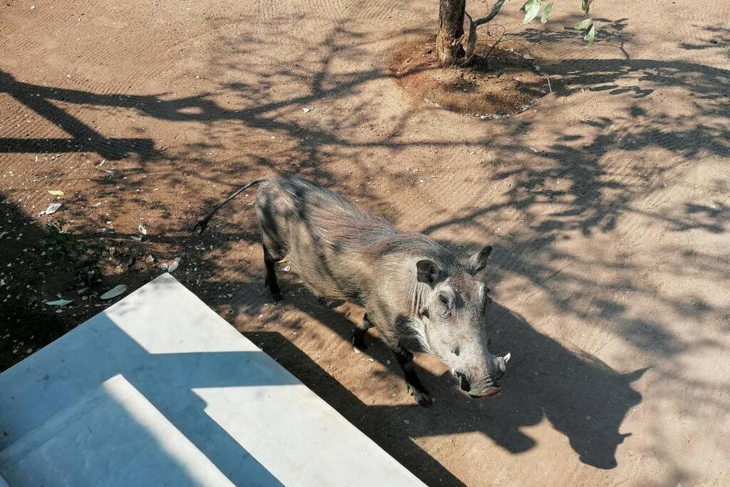 Amukela Kaya Hoedspruit Exterior foto