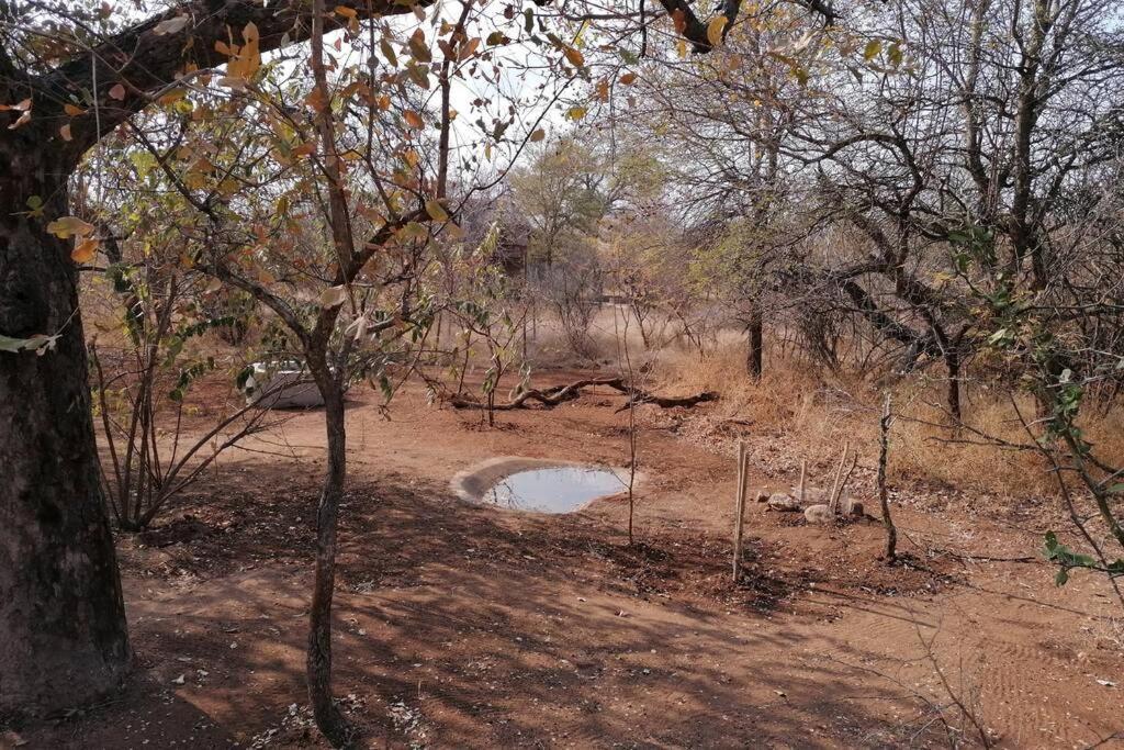 Amukela Kaya Hoedspruit Exterior foto