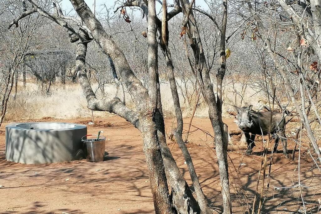 Amukela Kaya Hoedspruit Exterior foto